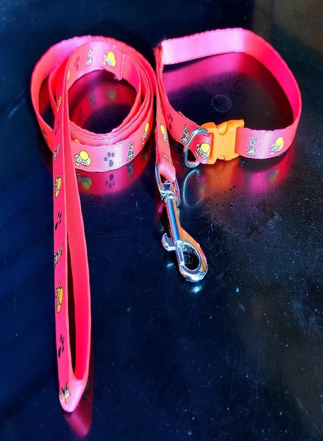 D&C PAWS Nylon Printed Collar and Leash Set for Puppies, Small Dogs, and Cats - 10mm Adjustable Collar with Leash, Pack of 5 Pieces, Perfect for Training and Walks - Image 5
